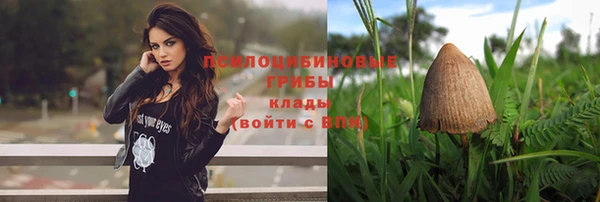 крисы Балабаново