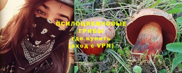 крисы Балабаново