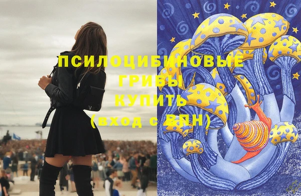 меф Белокуриха