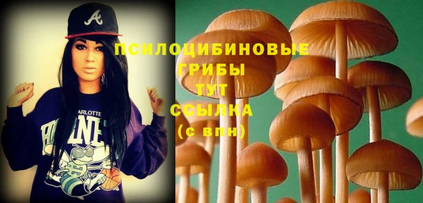 меф Белокуриха